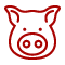 Viande de Porc